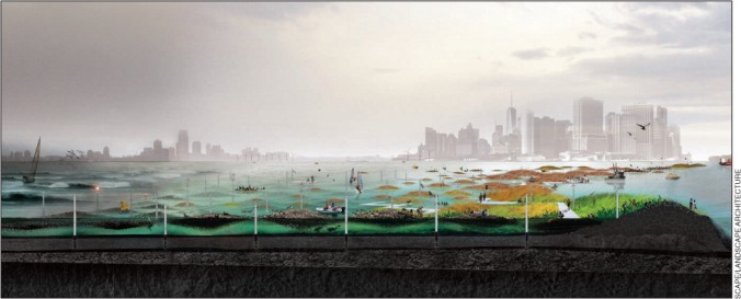 Depiction of oyster beds off the coast of New York City (specifically, Brooklyn's Red Hook neighborhood) proposed by K Orff and SCAPE. Here, an armature is proposed where native oysters and other marine life can live. Read More: http://www.esajournals.org/doi/full/10.1890/130052